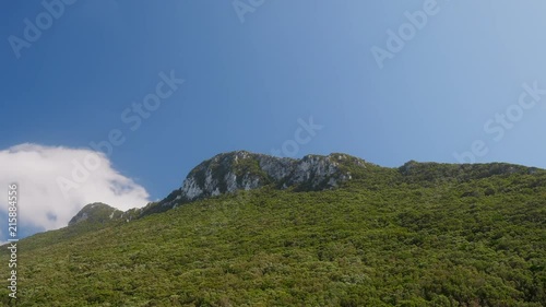 Top of the mountain, covered with dense forest. Timelapse. Beautiful nature of Sabaudia, Lazio, Italy. photo