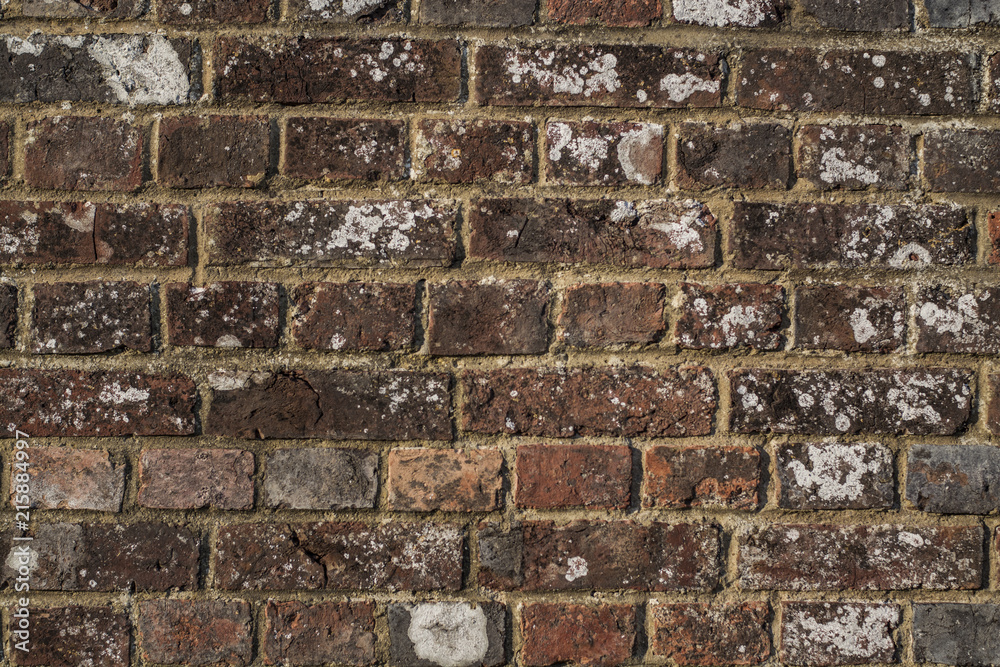Brickwall Texture weathered