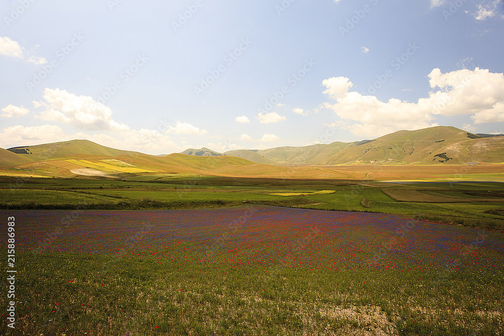 A magnificent sunrise in Castelluccio di Norcia. expecting more to the thousand colours of flowering