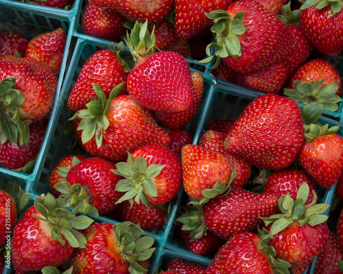 Plastic pint containers of fresh farmer's market strawberries viewed from above.