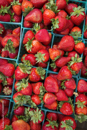 Plastic pint containers of fresh farmer's market strawberries viewed from above.