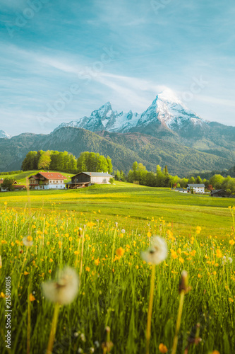 Fototapeta Naklejka Na Ścianę i Meble -  Idyllic landscape in the Alps with blooming meadows in springtime