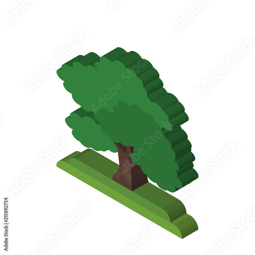 Black Walnut tree isometric right top view 3D icon