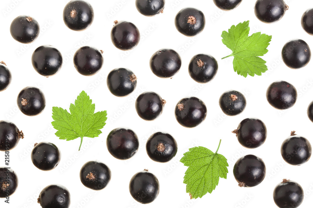 black currant with leaf isolated on white background. Top view. Flat lay pattern black currant with leaf isolated on white background. Top view. Flat lay pattern