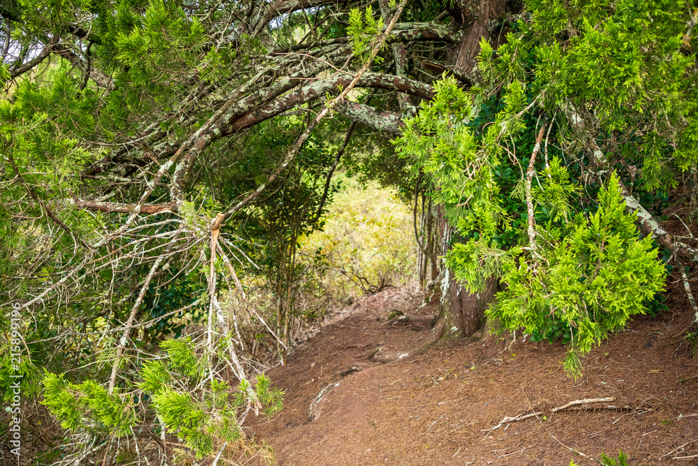 Ascension Island Ascension Island