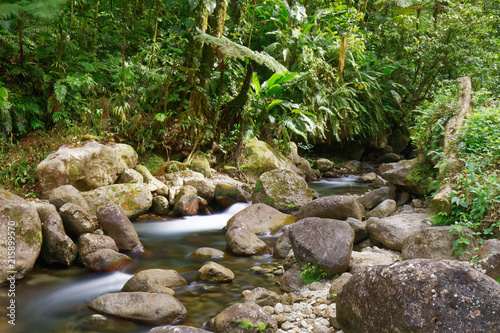 Martinique  FWI - Alma river in Saint-Joseph