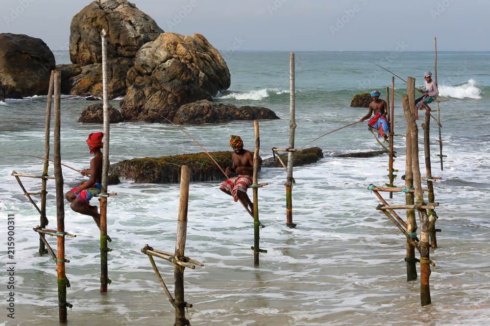 Stelzenfischer Am Strand Von Koggala In Sri Lanka Stock Photo Adobe Stock stelzenfischer-am-strand-von-koggala-in-sri-lanka-stock-photo-adobe-stock