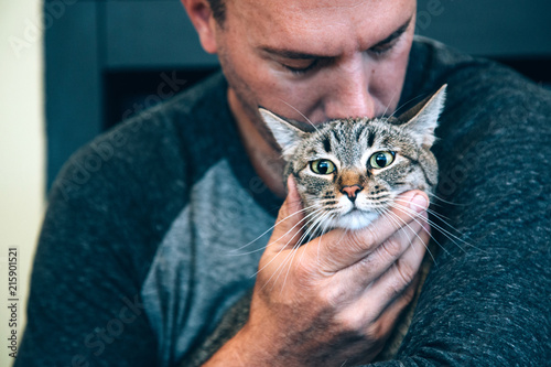 Tabby cat highly annoyed at being forcibly held photo