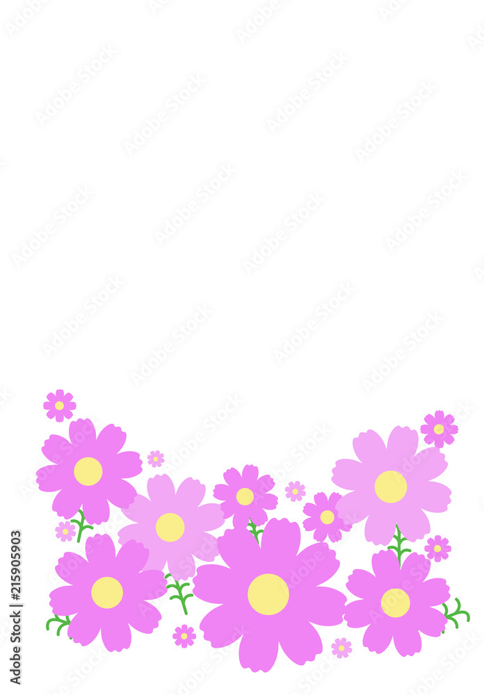 コスモスのイラスト