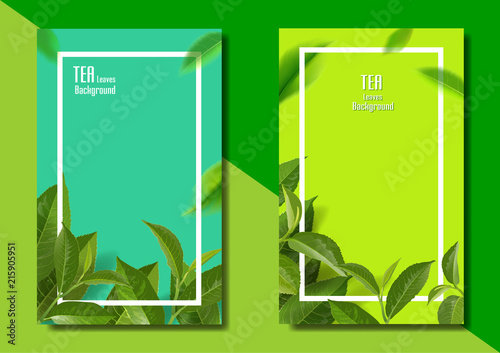 leaves green tea season background.