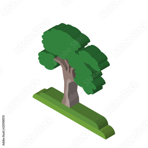 American Elm tree isometric right top view 3D icon