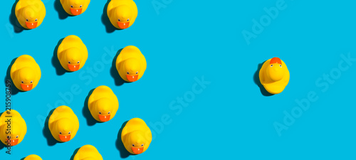 One out unique rubber duck ...