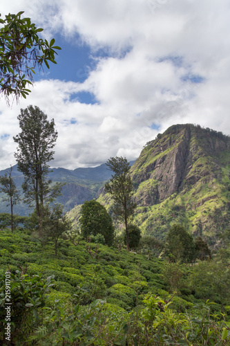 Mountain view near Ella, Sri Lanka