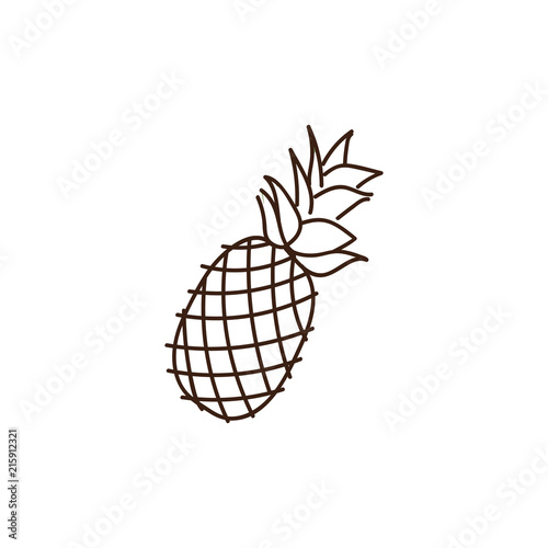 Pineapple outline illustration. Vector doodle sketch hand drawn illustration