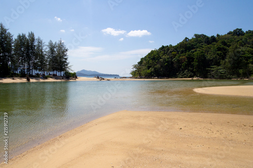 Tree on the beach at Layan beach  Phuket island  Thailand