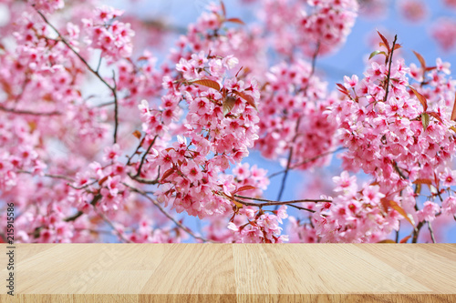 Empty top wooden table with Wild Himalayan Cherry (Prunus cerasoides), Sakura in Thailand for montage of your product © jintana
