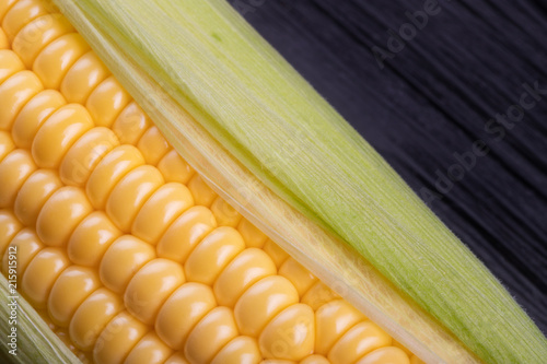 corn in the cob close-up