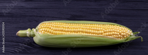corn in the cob close-up