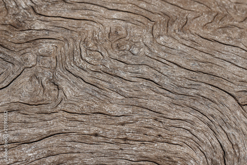 Texture of old wooden natural background