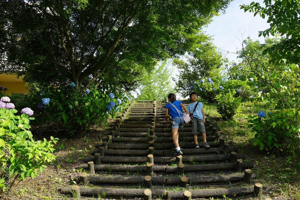 夏の小道を歩く子供たち　公園　　階段　初夏