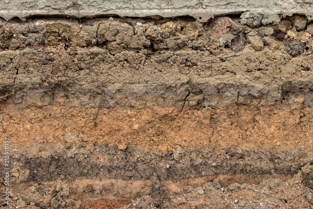 Background Section of the soil beneath the gravel road. Background Section of the soil beneath the gravel road.