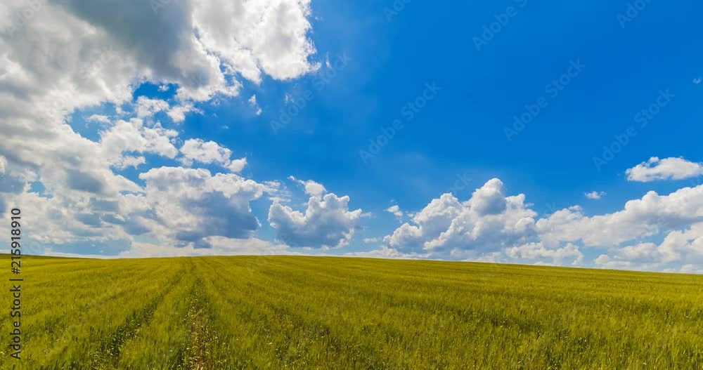 landscape of green grass fields under blue sky with white clouds, time-lapse movement, nature and relax, climate change concept landscape of green grass fields under blue sky with white clouds, time-lapse movement, nature and relax, climate change concept