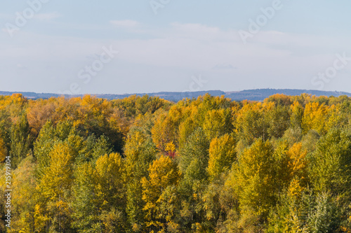 Fototapeta Naklejka Na Ścianę i Meble -  Aerial view of colorful autumn trees