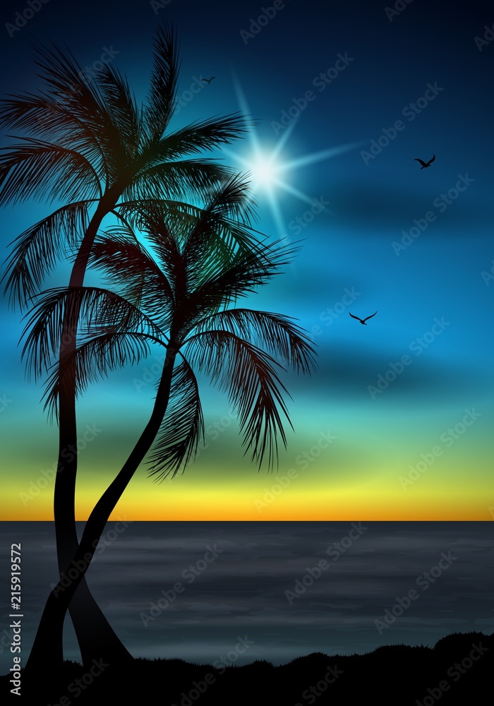 Palm tree leaves on summer background. Palm tree silhouette