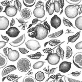 Citrus fruits seamless pattern. Hand drawn vector fruit illustration. Engraved style. Vintage citrus background.
