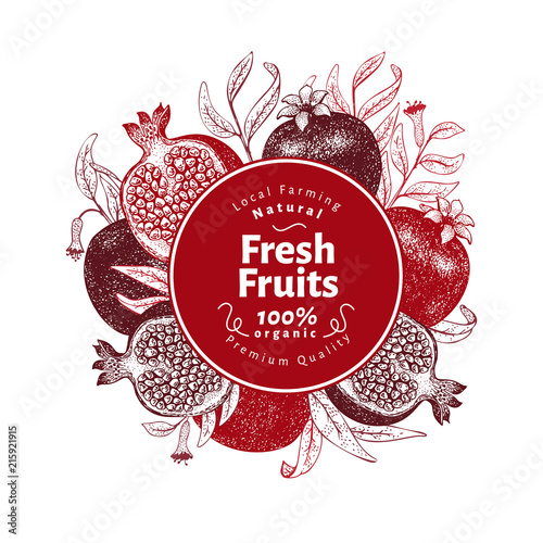 Pomegranate fruit design template. Hand drawn vector fruit illustration. Engraved style vintage botanical frame.