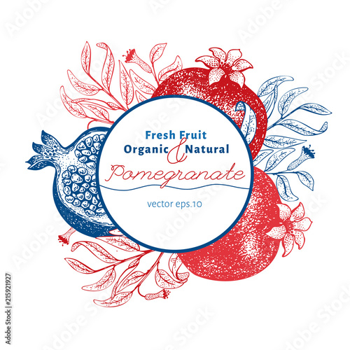Pomegranate fruit design template. Hand drawn vector fruit illustration. Engraved style vintage botanical background.