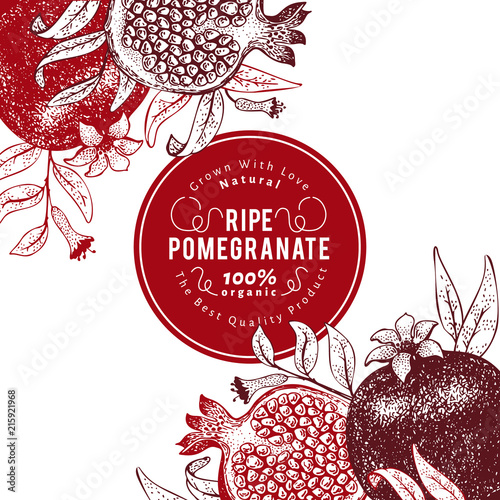 Pomegranate fruit design template. Hand drawn vector fruit illustration. Engraved style vintage botanical background.