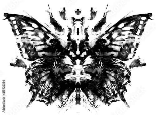 Fotografie, Obraz butterfly pattern in Rorschach Test style