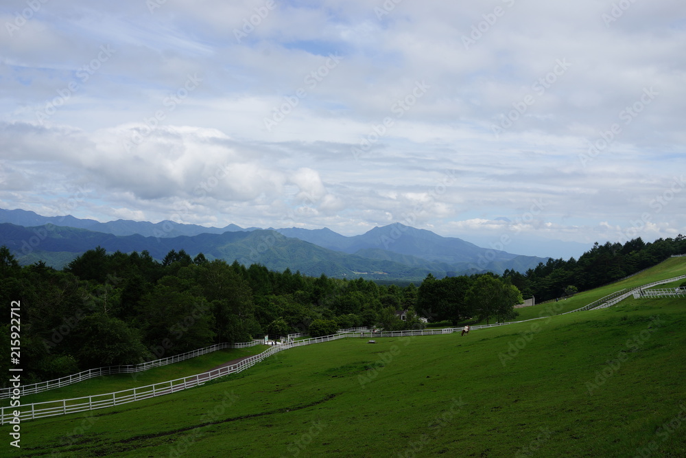 牧場　夏　山々　山脈　避暑地　芝生