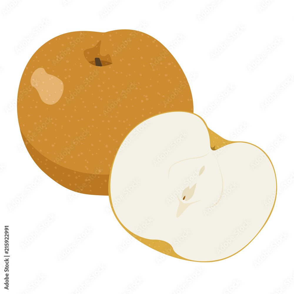 秋が旬の果物 梨のカットフルーツのイラスト Stock Vector Adobe Stock