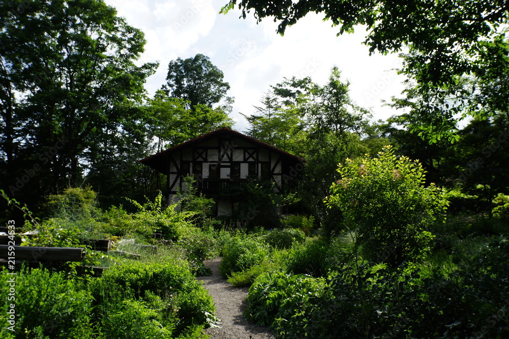 森のコテージ　別荘　山小屋　避暑地　日本