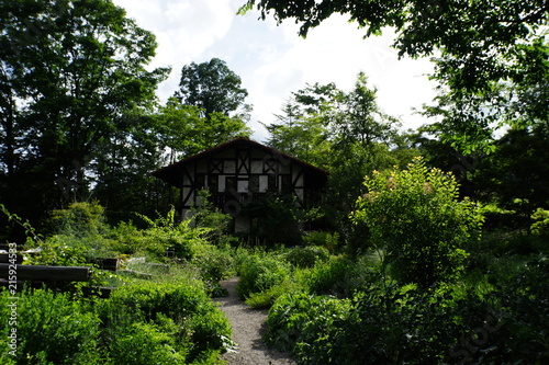 森のコテージ　別荘　山小屋　避暑地　日本 © Yuko