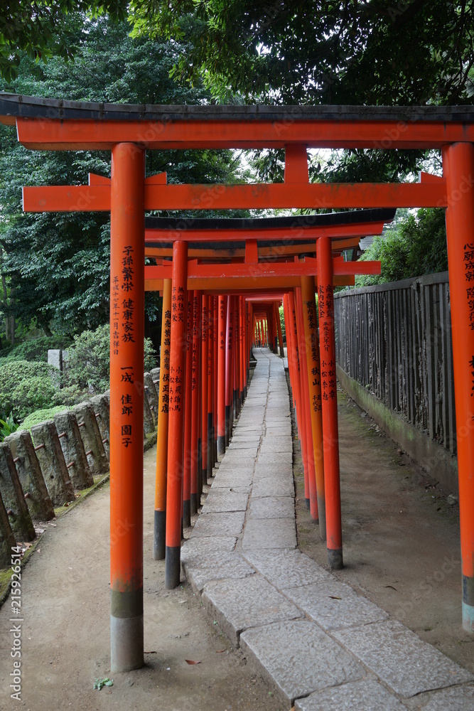 鳥居　赤い鳥居　根津神社　神社　日本　東京