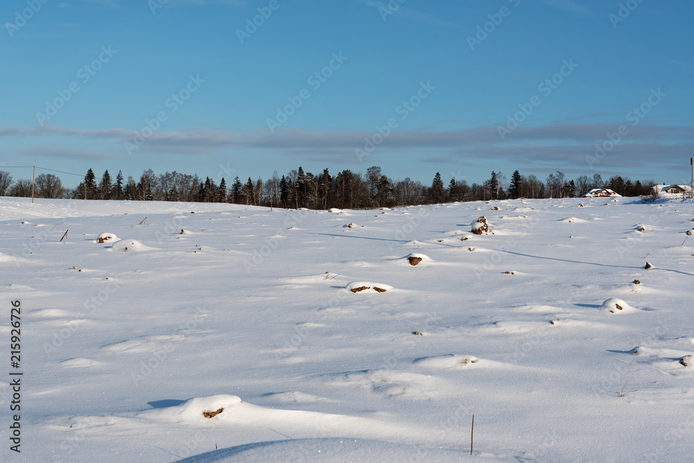 Fresh snow in counrtryside.