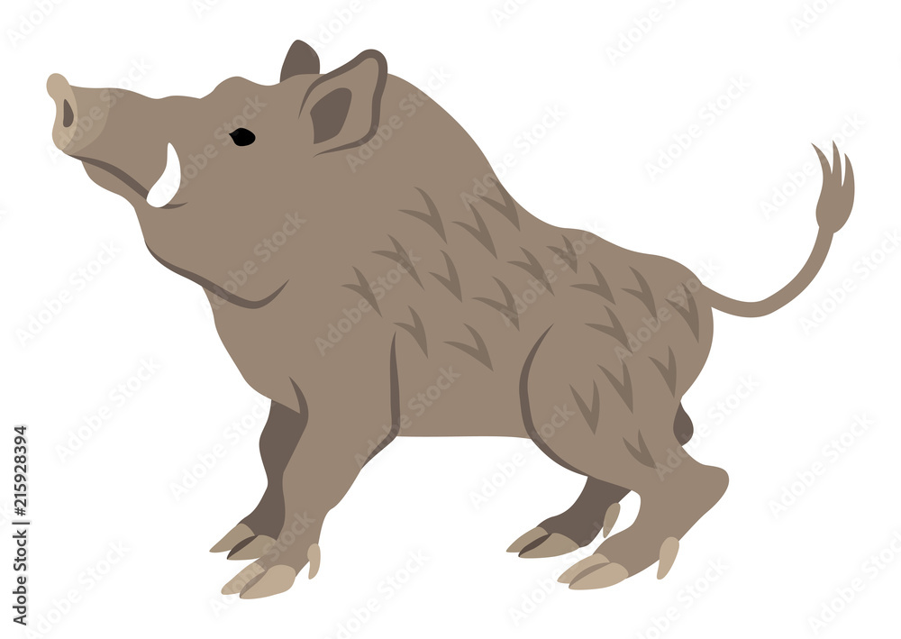 亥 干支 19年 年賀状素材 見上げる Stock Vector Adobe Stock 亥 干支 19年 年賀状素材 見上げる Stock Vector Adobe Stock