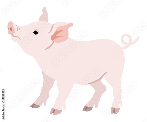 Pig Side View - 2019 Chinese Zodiac Sign