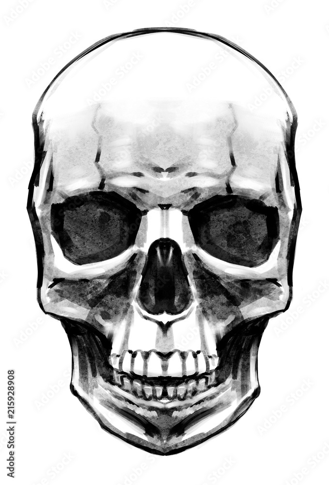 Fototapeta premium Female skull painted with texture brush