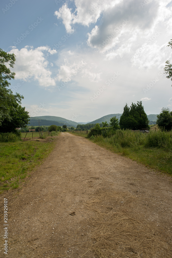 The road to Santiago between Roncesvalles and Zubiri