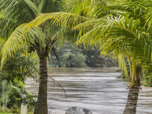 A telephoto image of the Khao Saming River framed by palm trees in Trat Province  eastern Thailand