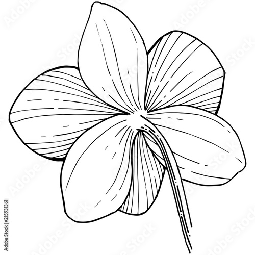 Orchid flower in a vector style isolated. Full name of the plant: orchid. Vector flower for background, texture, wrapper pattern, frame or border.