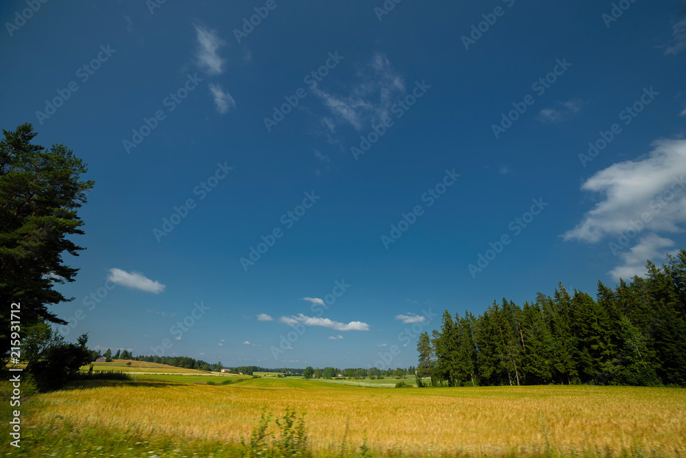 landscape of Finland