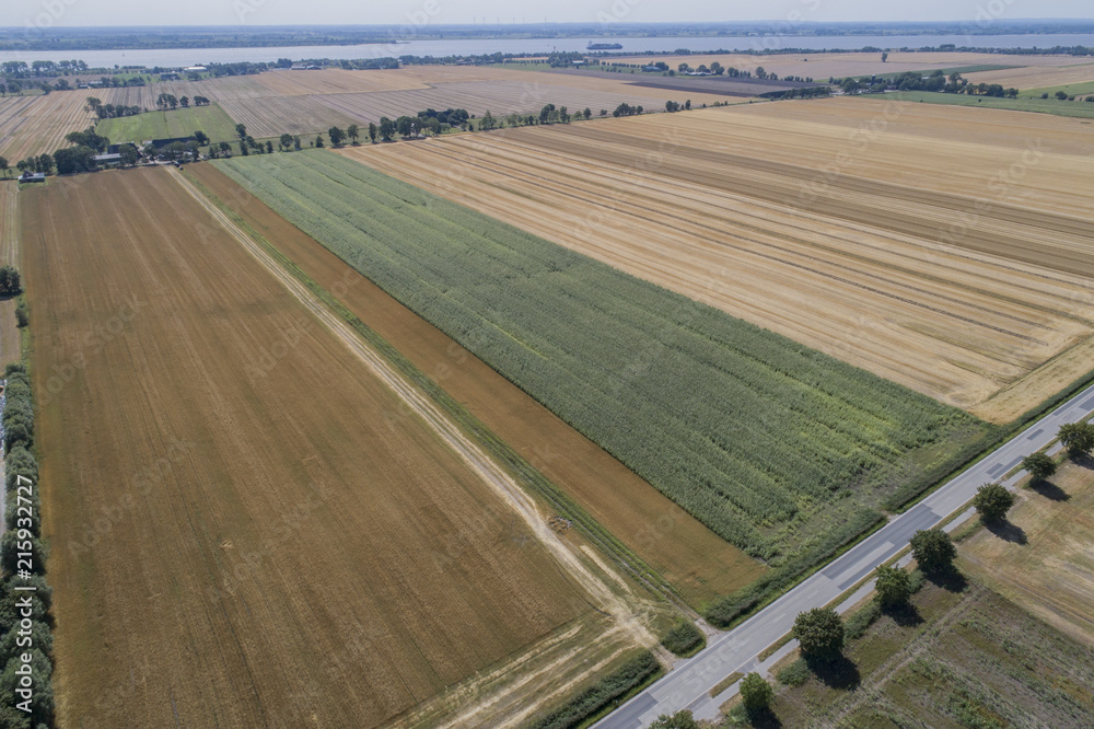 Luftaufnahme von Kornfeldern 