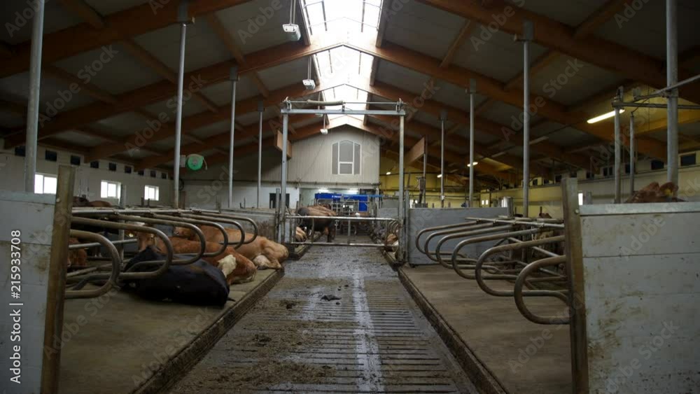 Icelandic Dairy Farm Icelandic Dairy Farm