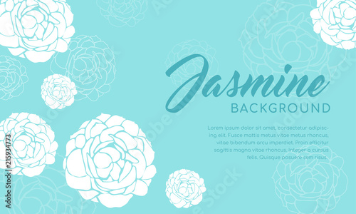 Jasmine flower background vector illustration. White jasmine on blue background. 