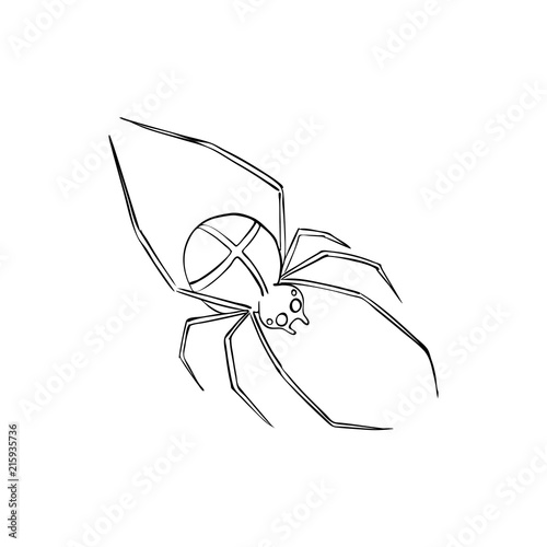 Spider is a symbol of phobias and horrors. Design for Halloween.